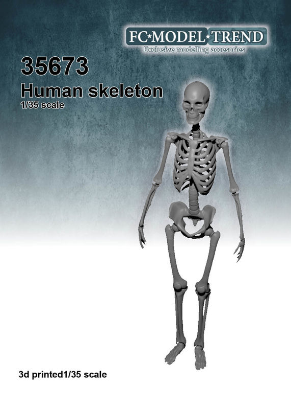 Human skeleton au 1/35